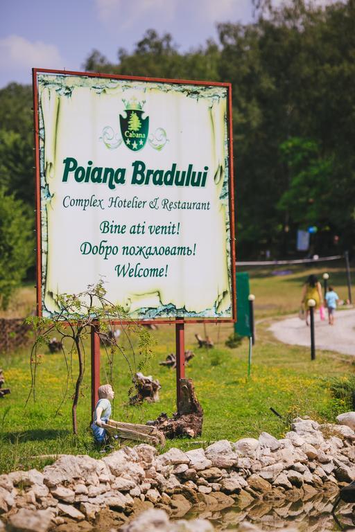Poiana Bradului Vila Tohatin Exterior foto