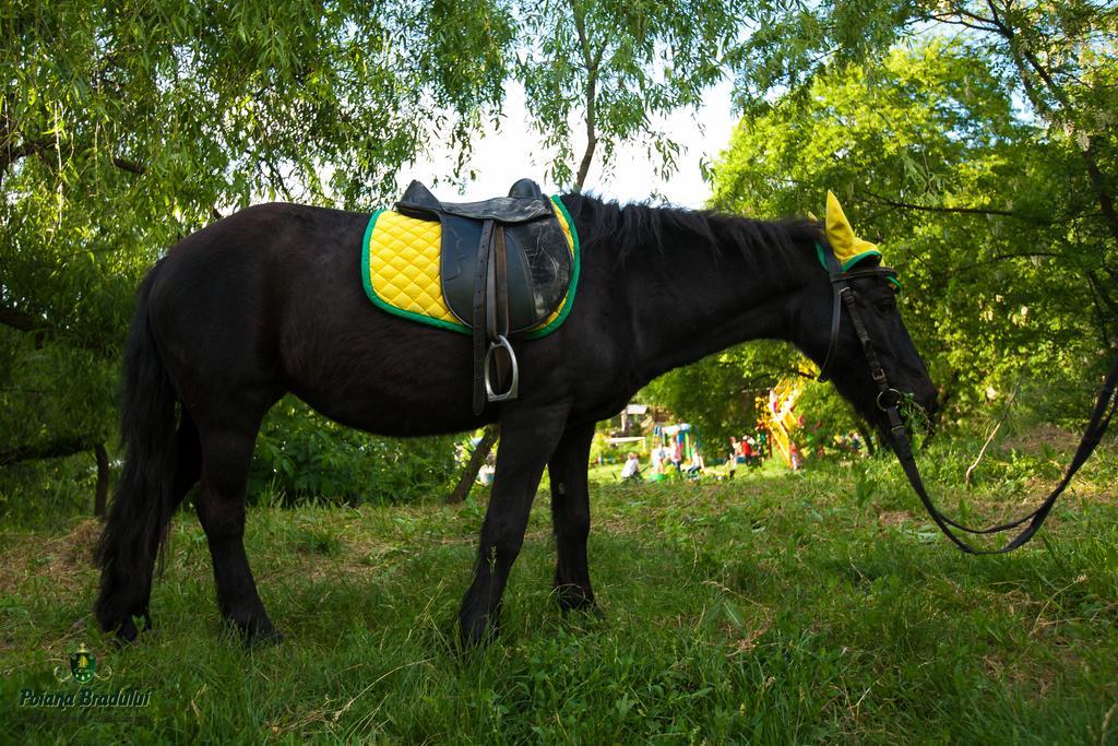 Poiana Bradului Vila Tohatin Exterior foto