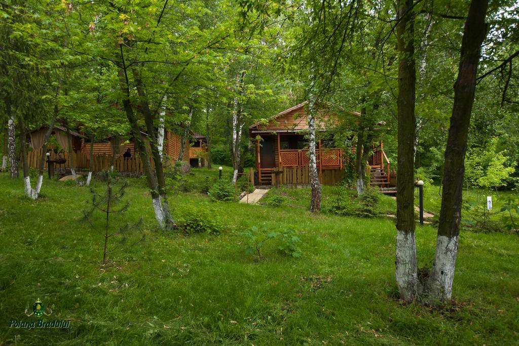 Poiana Bradului Vila Tohatin Exterior foto
